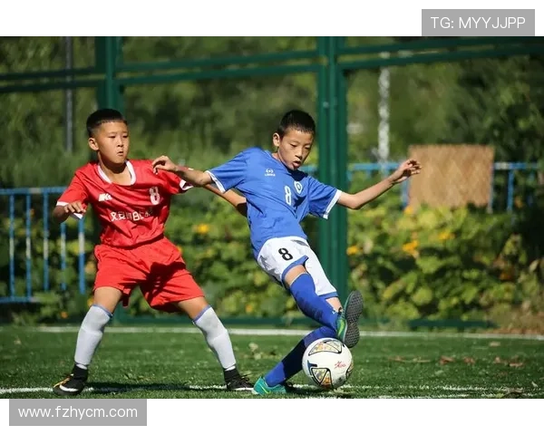 足球明星帕莱德的传奇人生与赛场辉煌成就全解析