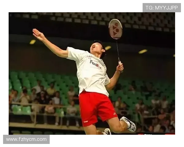 南京羽毛球队进攻战术解析与未来发展趋势探讨